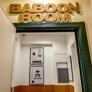 Baboon Pensión Roma